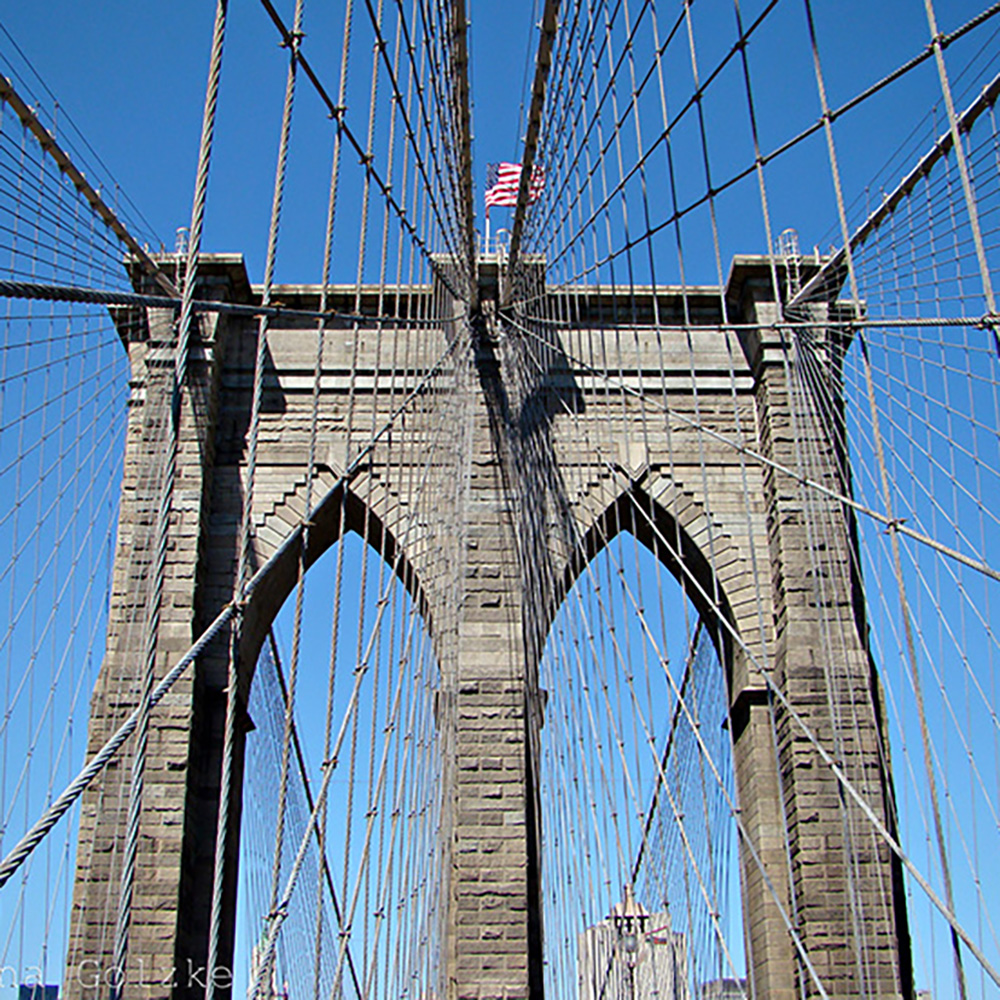 New York – missredfox