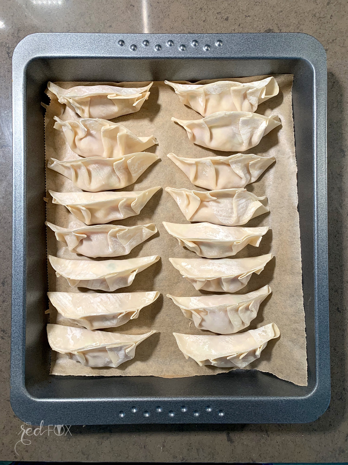 Gyoza - japanische Maultaschen – miss red fox