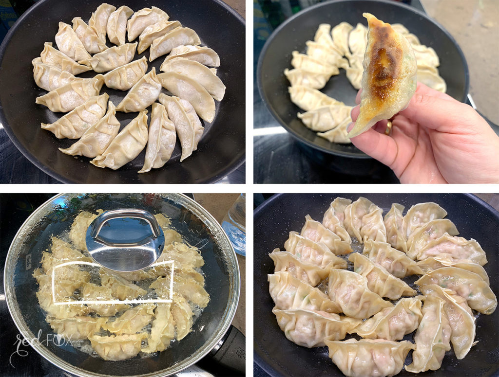 Gyoza - japanische Maultaschen – miss red fox