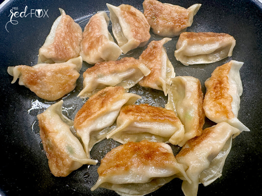 Gyoza - japanische Maultaschen – miss red fox