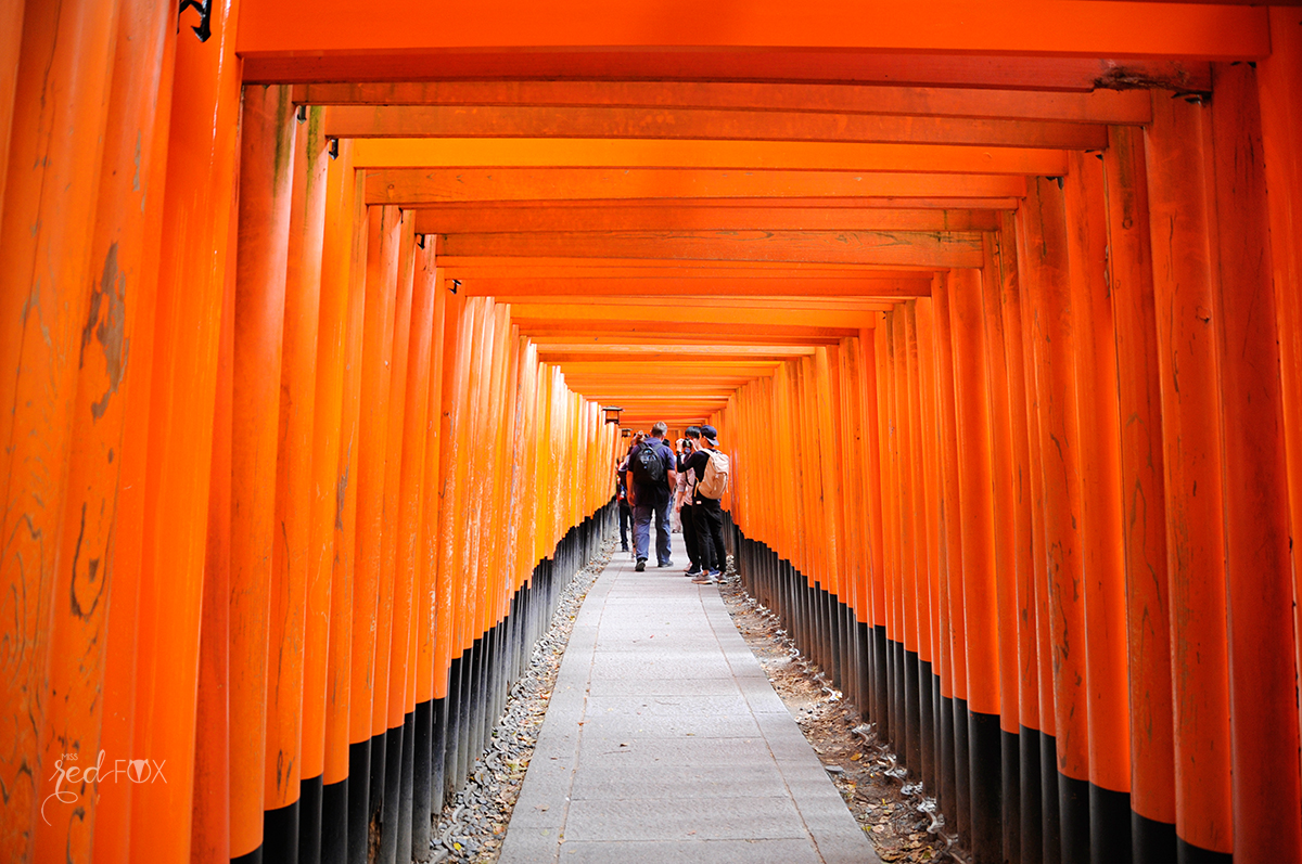 missredfox - Japan - Ausflüge Kyoto - 25 - Fushimi Inari Taisha