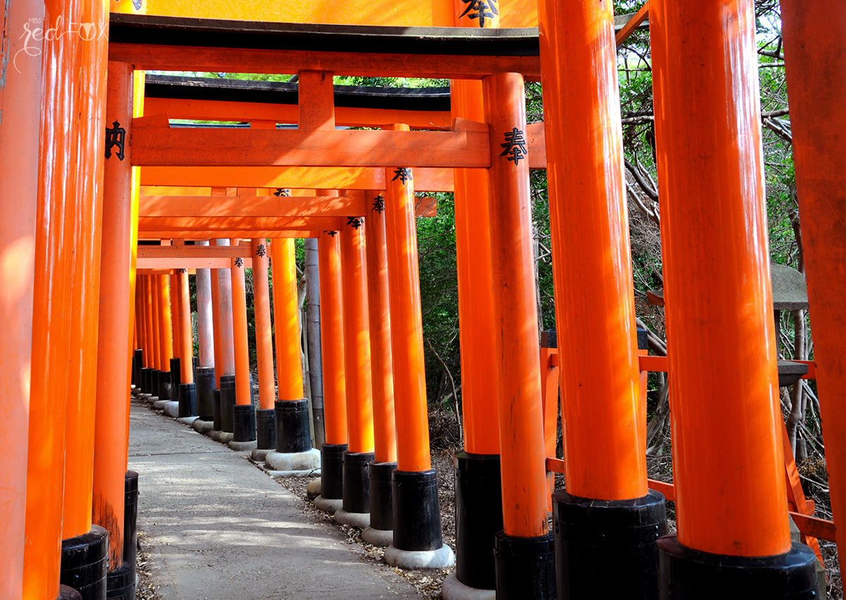 missredfox - Japan - Ausflüge Kyoto - 29 - Fushimi Inari Taisha