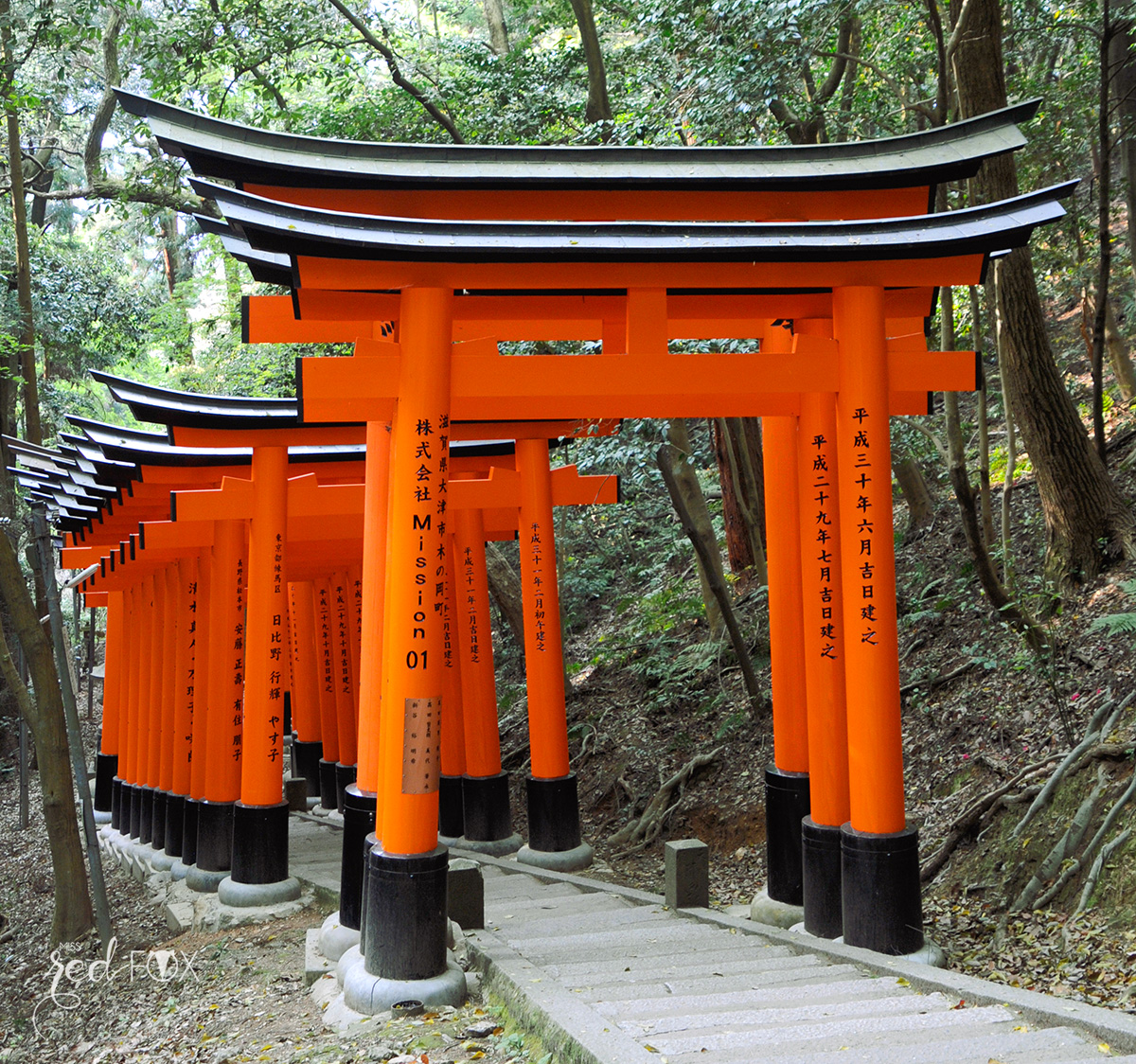 missredfox - Japan - Ausflüge Kyoto - 31 - Fushimi Inari Taisha