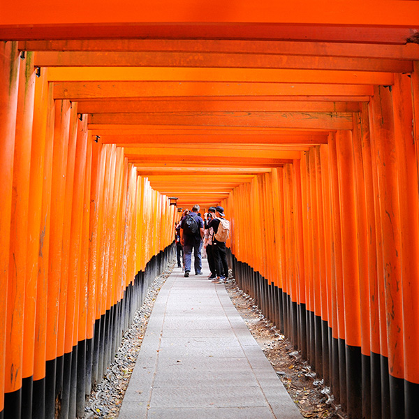 Japan – 4 – Nara, Fushimi Inari, Himeji