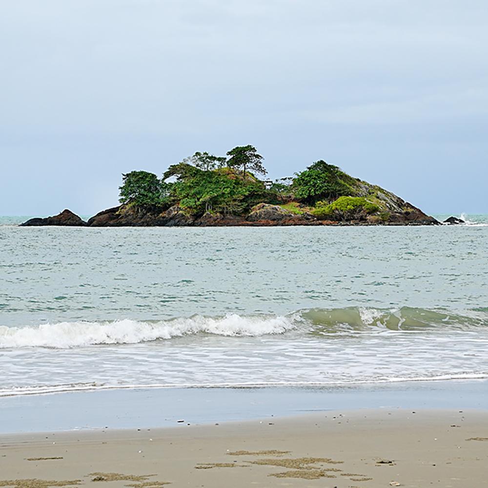 5 Wochen Australien – 4 – Wet tropics