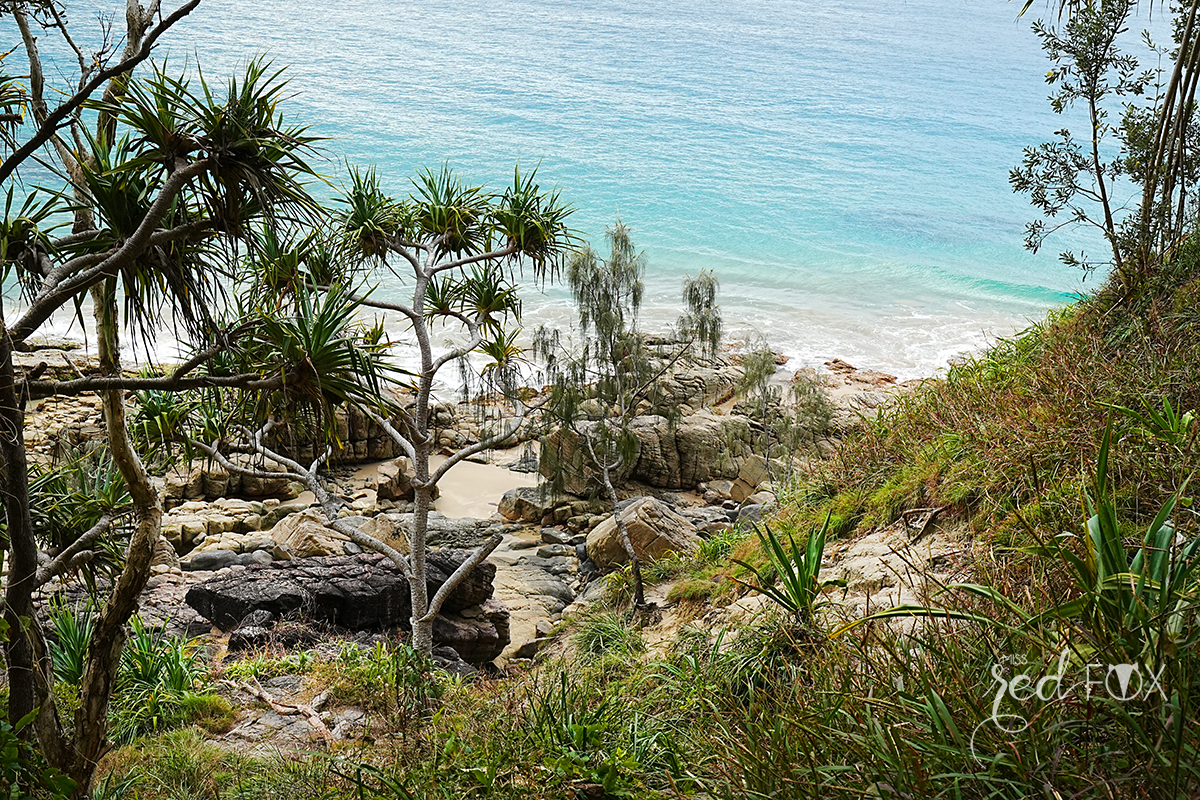 missredfox - Australien 6 - QLD - 07