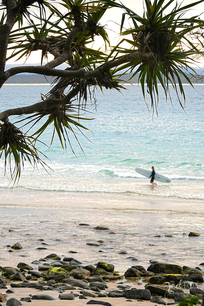 missredfox - Australien 6 - QLD - 19