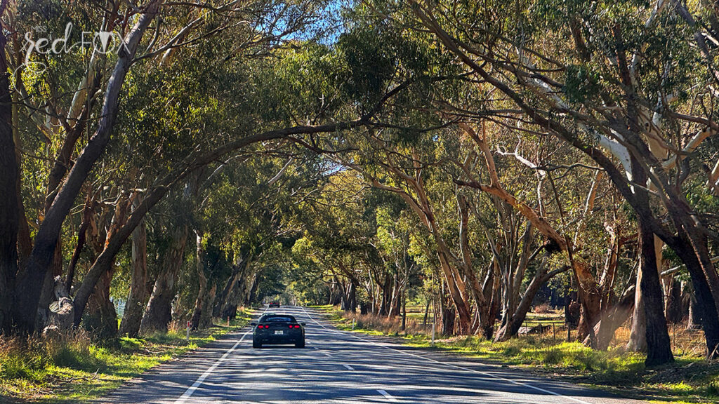 missredfox - Australien 7 - Victoria - 01
