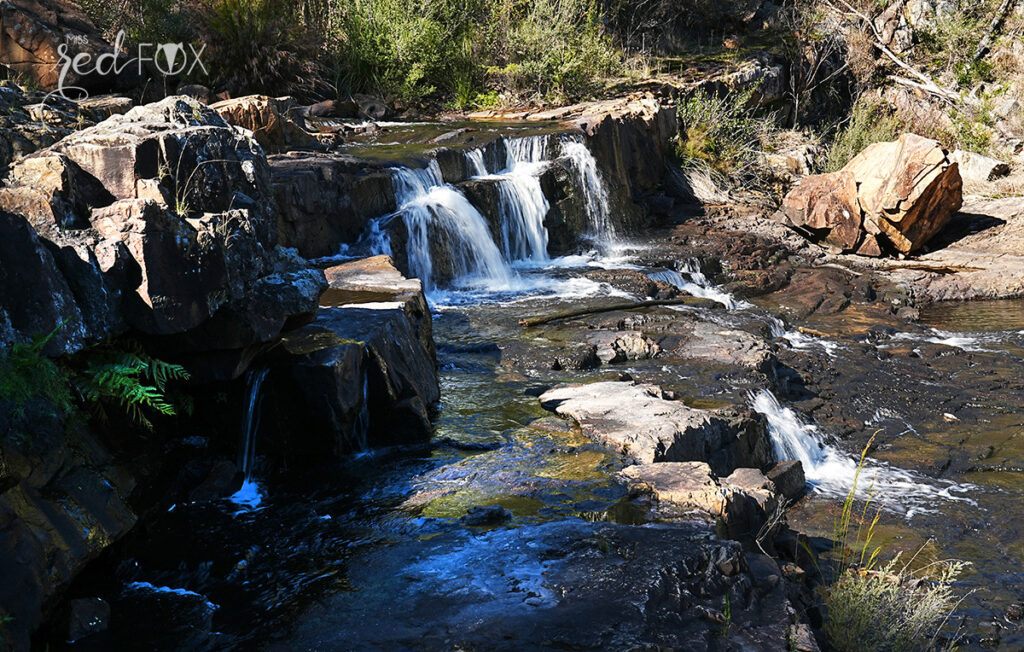 missredfox - Australien 7 - Victoria - 04