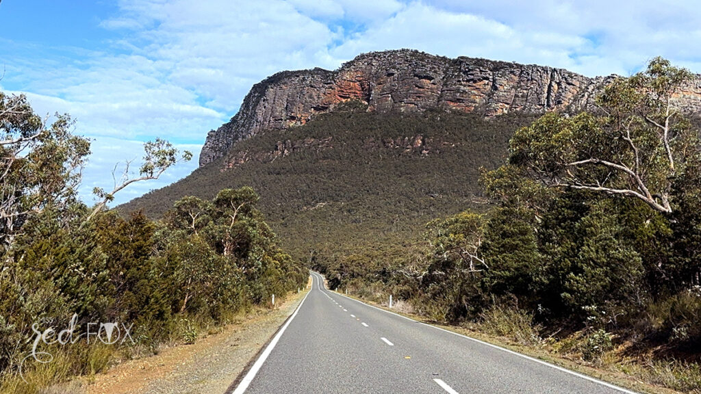 missredfox - Australien 7 - Victoria - 08