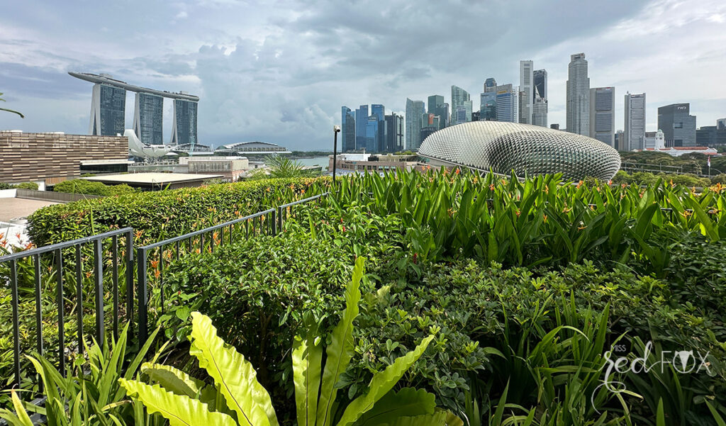missredfox - Singapur - 03