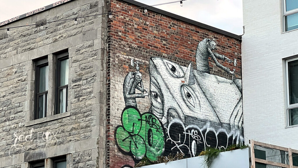 missredfox - Ostkanada Indian Summer - 1 - 06