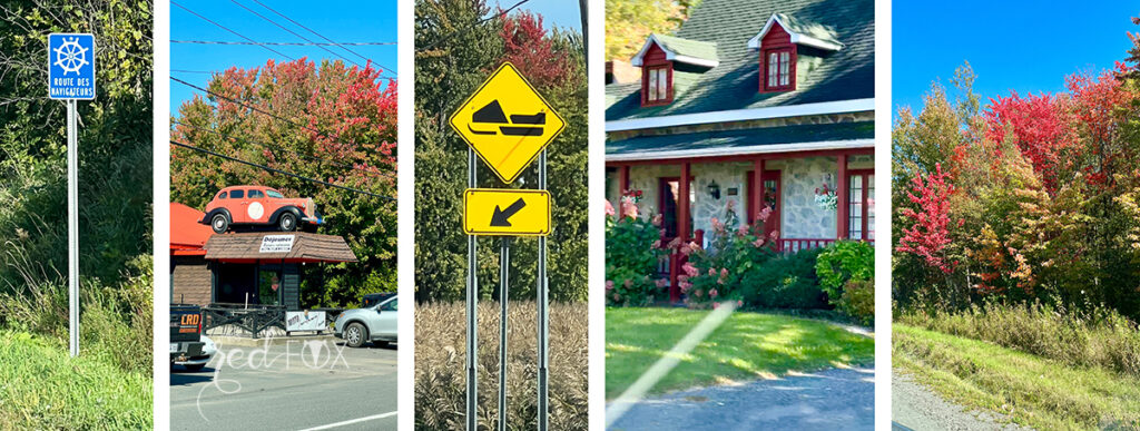 missredfox - Ostkanada Indian Summer - 1 - 13