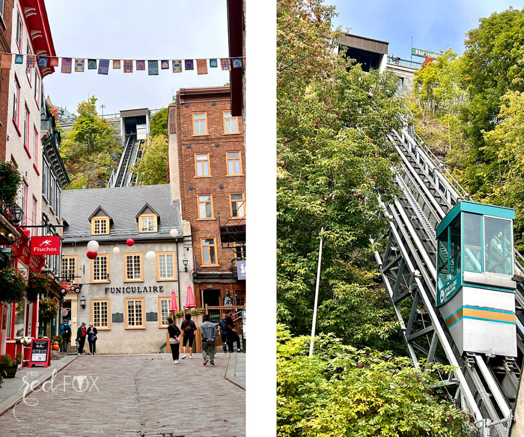 missredfox - Ostkanada Indian Summer - 1 - 23