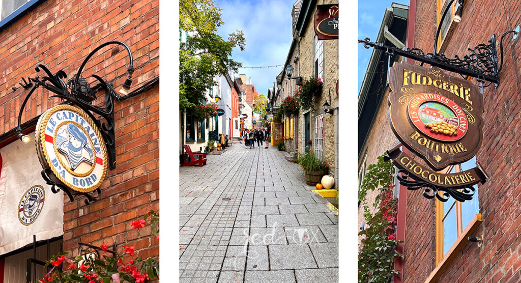 missredfox - Ostkanada Indian Summer - 1 - 28