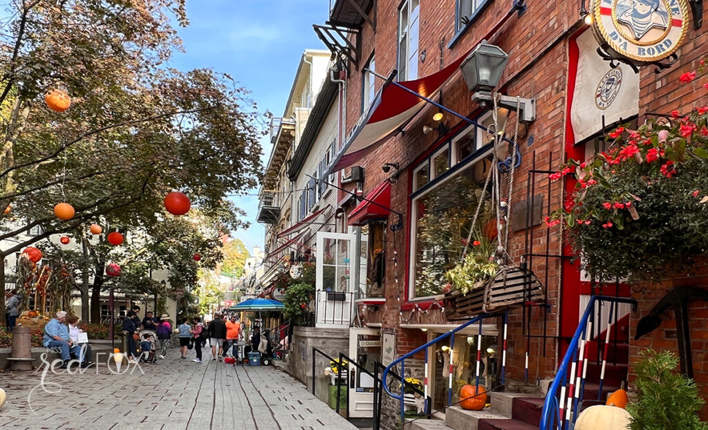 missredfox - Ostkanada Indian Summer - 1 - 29