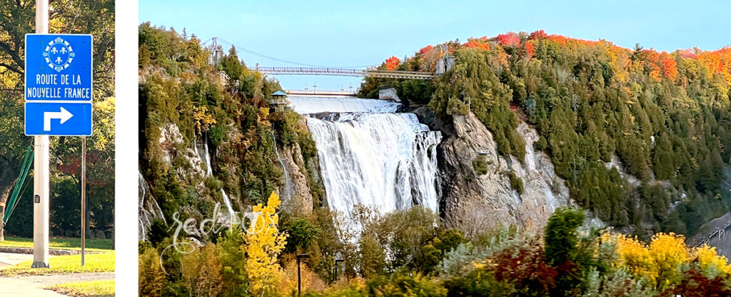 missredfox - Ostkanada Indian Summer - 1 - 37