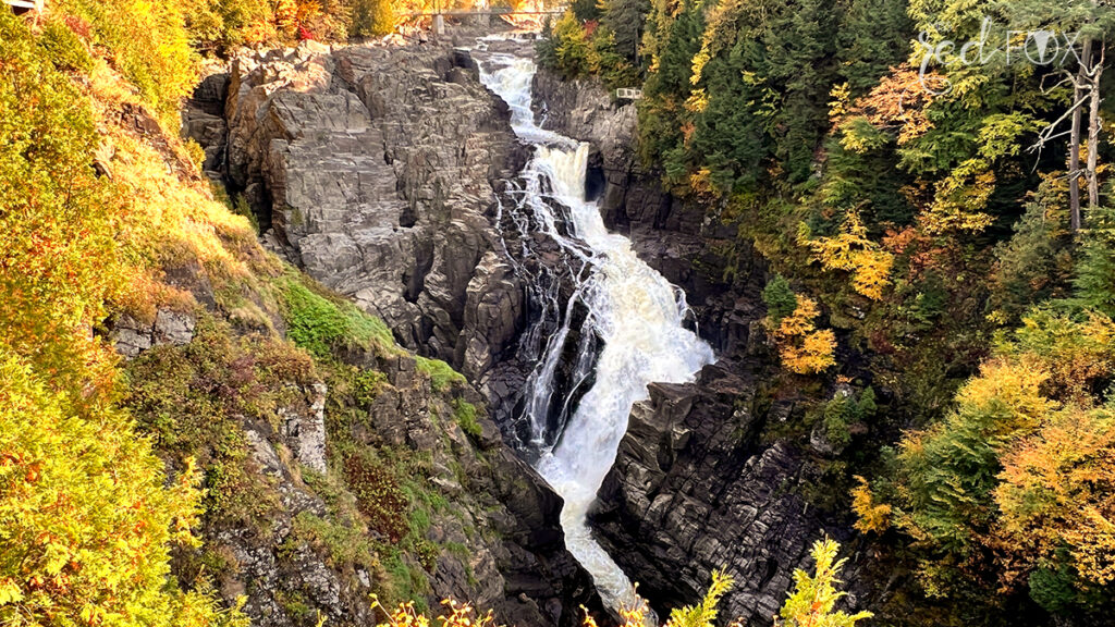 missredfox - Ostkanada Indian Summer - 1 - 39