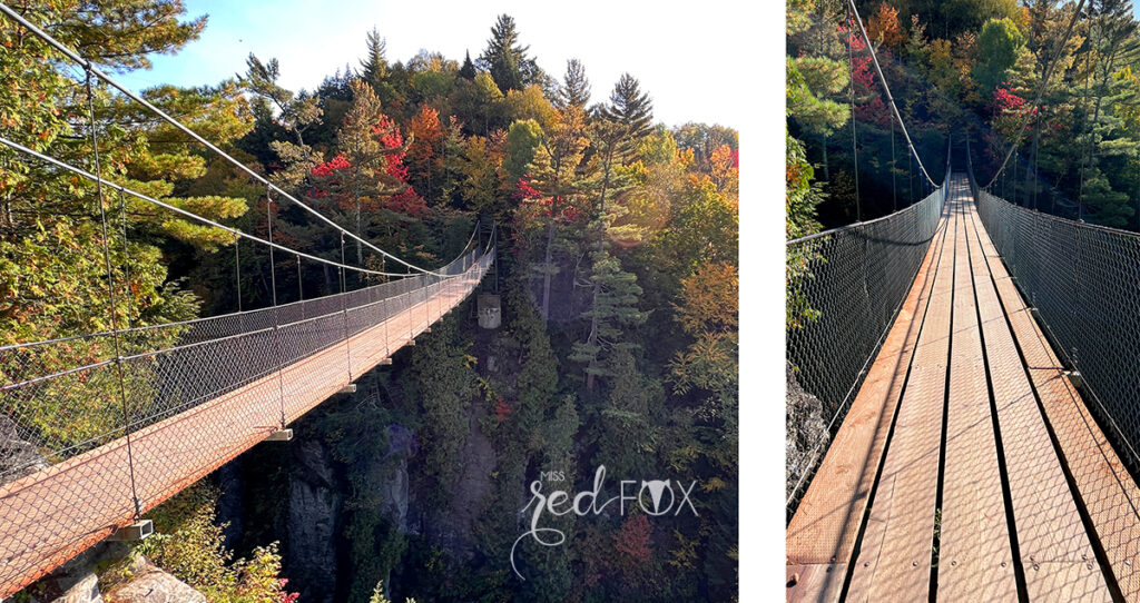 missredfox - Ostkanada Indian Summer - 1 - 40