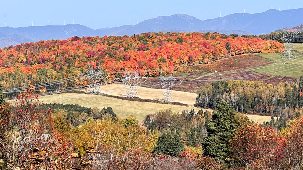 missredfox - Ostkanada Indian Summer - 1 - 43