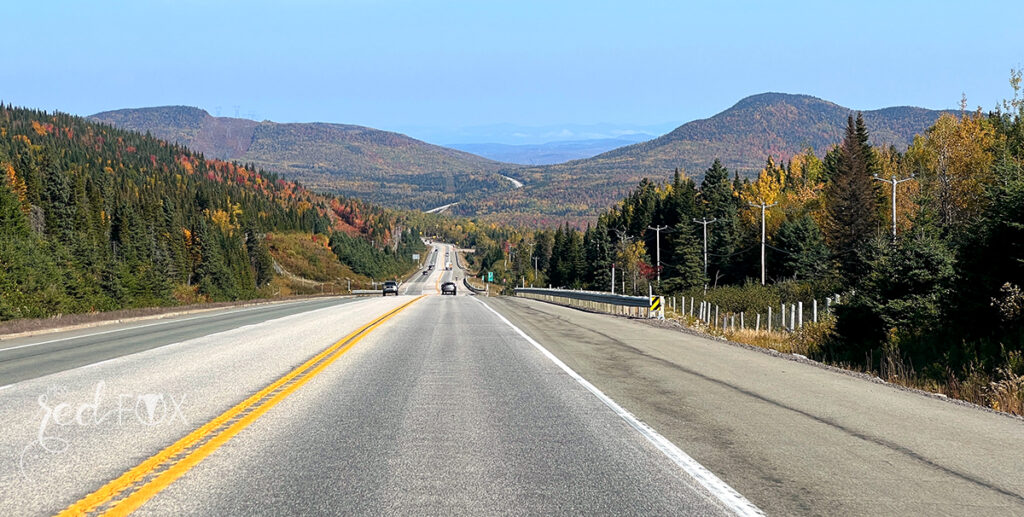 missredfox - Ostkanada Indian Summer - 1 - 45