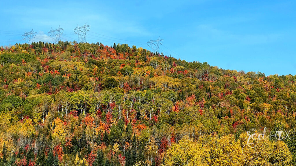 missredfox - Ostkanada Indian Summer - 1 - 46