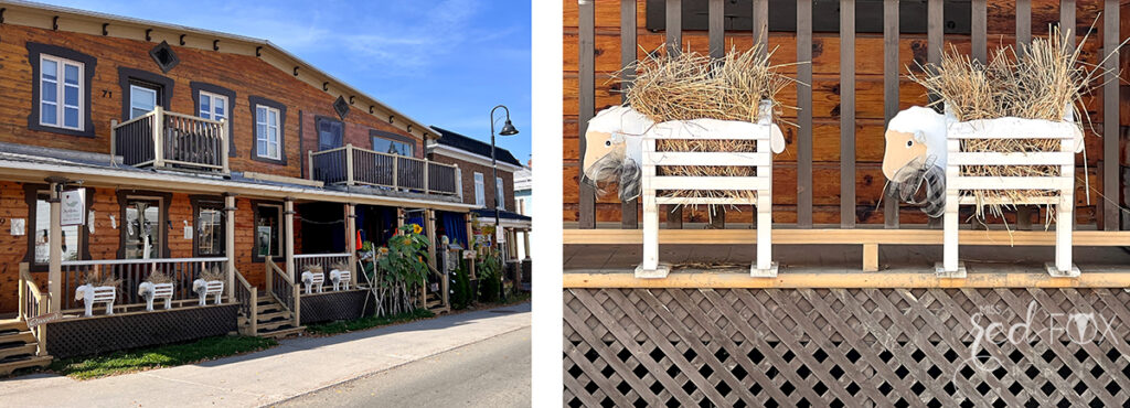 missredfox - Ostkanada Indian Summer - 1 - 47