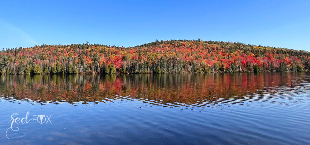 missredfox - Ostkanada Indian Summer - 1 - 52