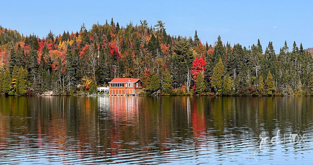 missredfox - Ostkanada Indian Summer - 1 - 55