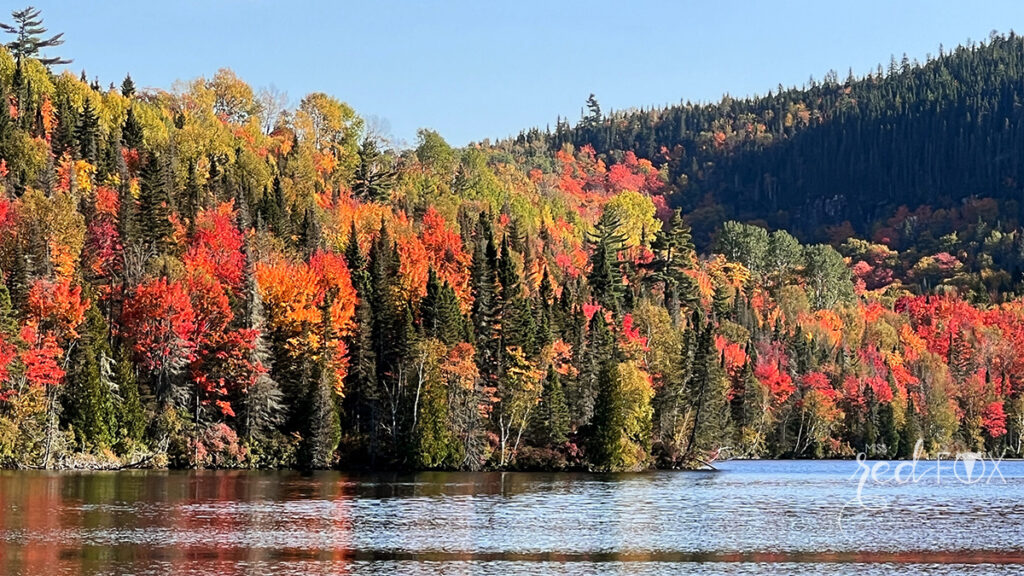 missredfox - Ostkanada Indian Summer - 1 - 56