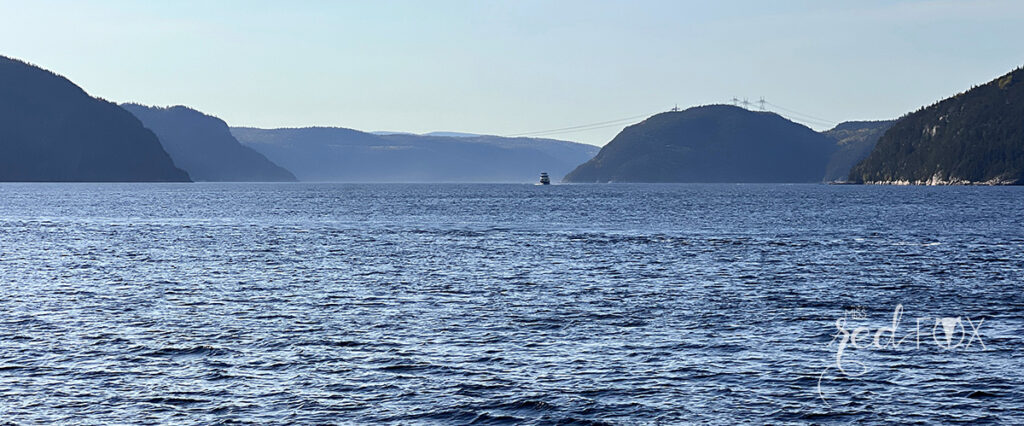 missredfox - Ostkanada Indian Summer - 1 - 58