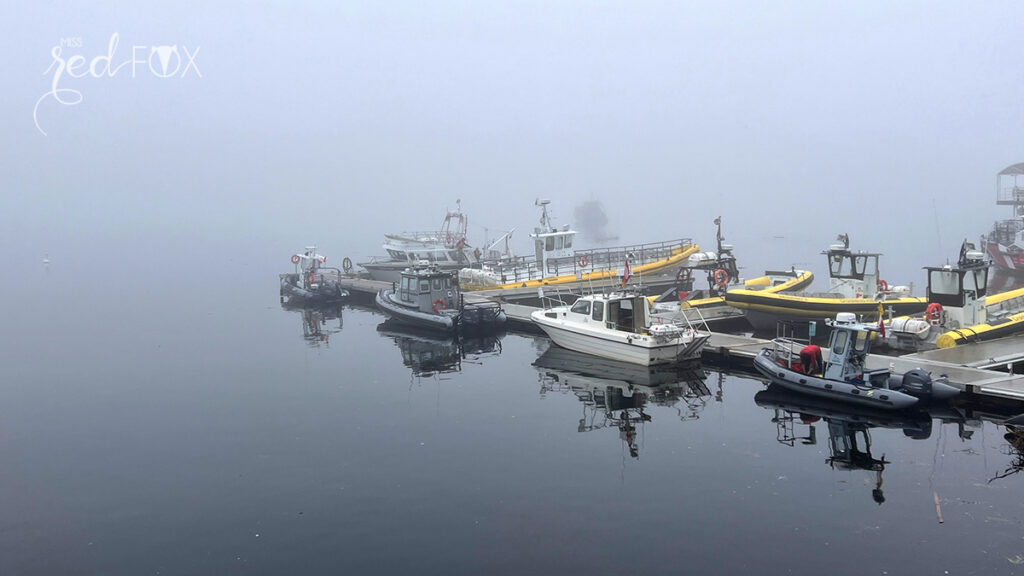 missredfox - Ostkanada Indian Summer - 1 - 63