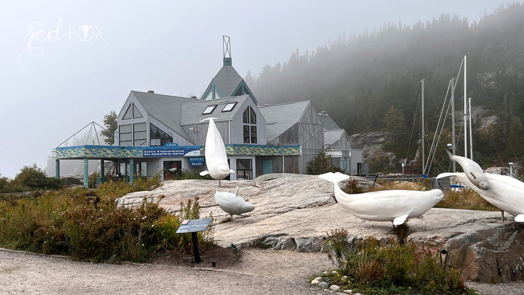 missredfox - Ostkanada Indian Summer - 1 - 67