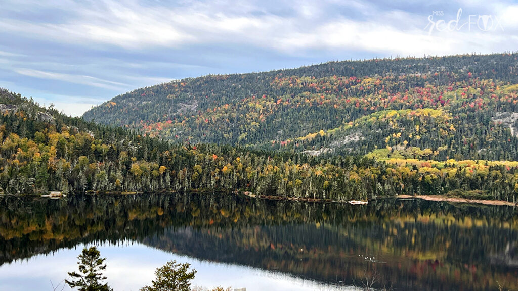 missredfox - Ostkanada Indian Summer - 1 - 70