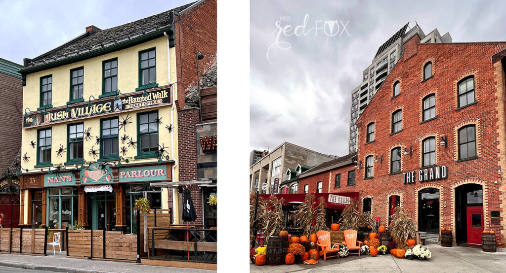 missredfox - Ostkanada Indian Summer - 2 - 11