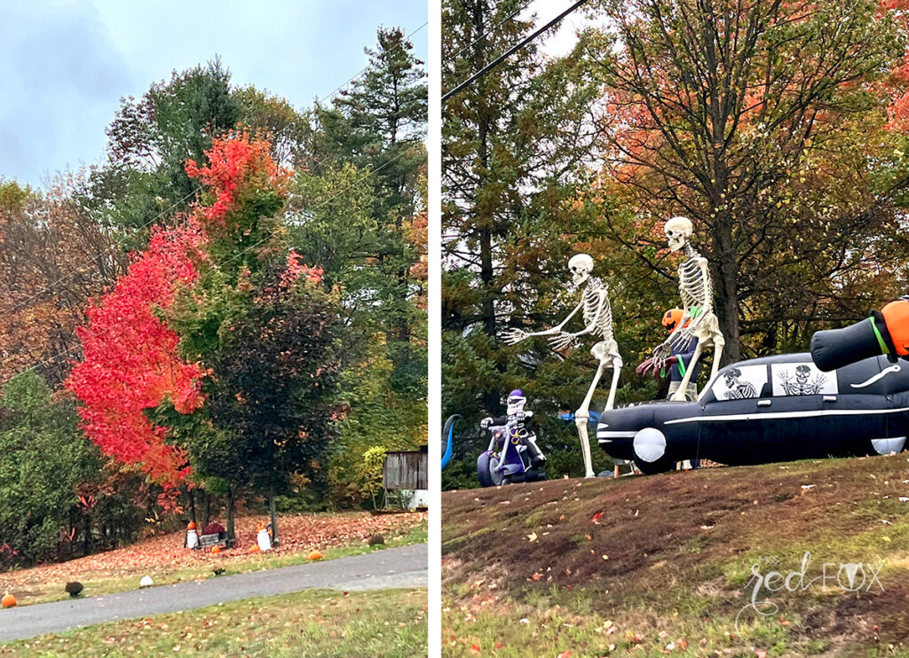 missredfox - Ostkanada Indian Summer - 2 - 13