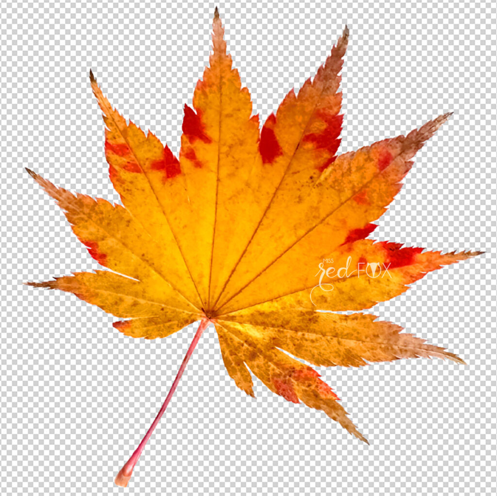 missredfox - Reisetagebuch PaperlessLife - 37