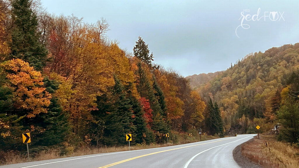 missredfox - Ostkanada Indian Summer - 2 - 20