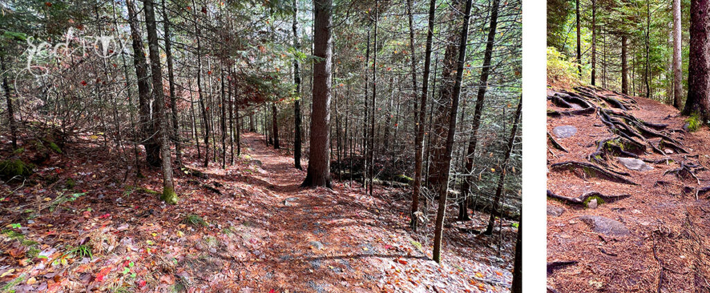 missredfox - Ostkanada Indian Summer - 2 - 27