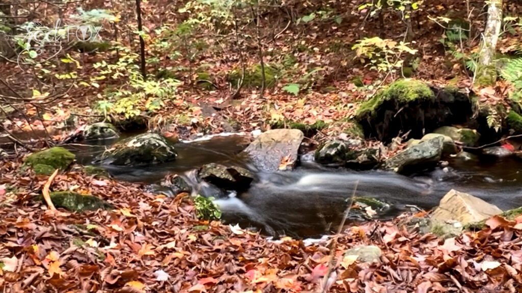 missredfox - Ostkanada Indian Summer - 2 - 28