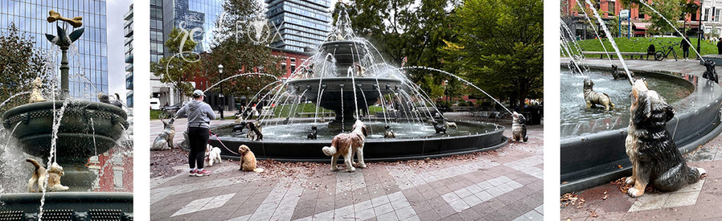 missredfox - Ostkanada Indian Summer - 2 - 75